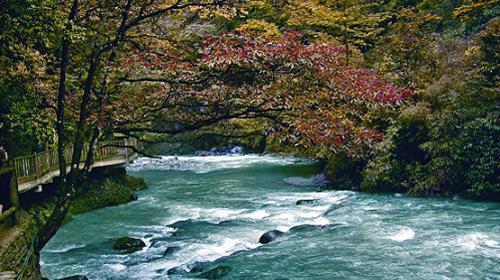 重庆万盛黑山谷原始生态旅游区一日游(主城10