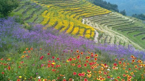 福州旅游线路攻略_上海到福州自助游_自由行