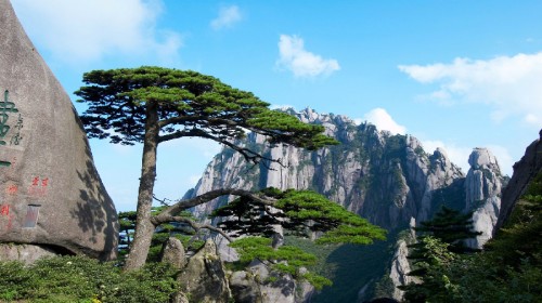 平安银行专享活动 平安携程商旅联名卡支付专