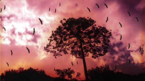 河北2日半自助游·京津冀自驾游护照点评