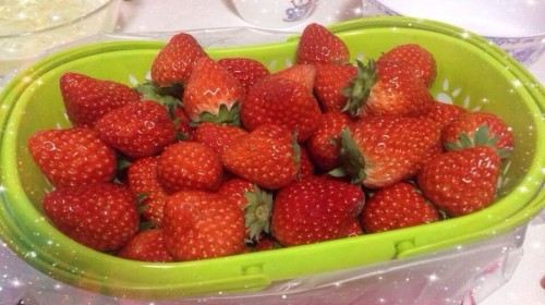 浙江千岛湖2日跟团游(2钻)·年货节 送中心湖区