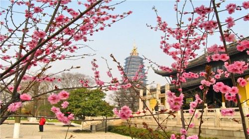 常州红梅公园+四季青服装城1日跟团游-【携程旅游】