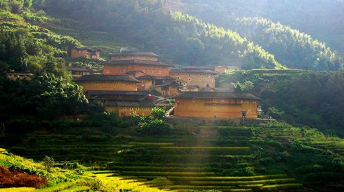 【厦门】南靖+永定土楼一日游(无购物)