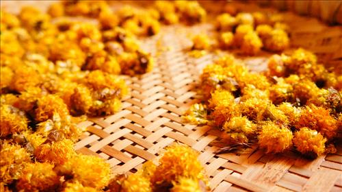 四川成都+九寨沟+重庆6日5晚跟团游·都江堰