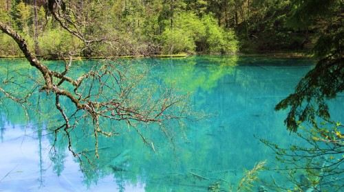 【广州】重庆+九寨沟+黄龙4日跟团游(3钻)·一