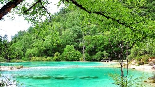 【广州】重庆+九寨沟4日跟团游(3钻)·四飞超