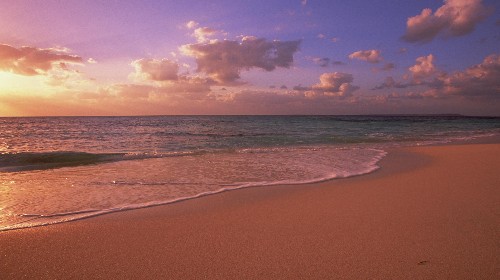 1公里长的沙滩是深圳最绵长柔软的海滩,西涌洁净,清澈的海域,茂密的