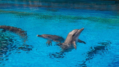 【携程攻略】重庆到珠海旅游报价,重庆到珠海