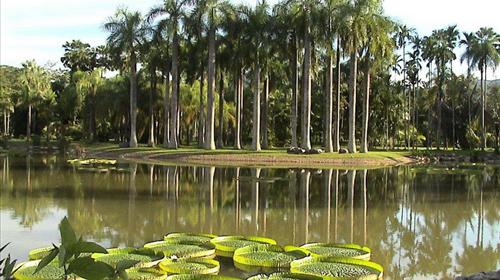 云南+昆明+西双版纳+普洱+景洪+野象谷4日3晚