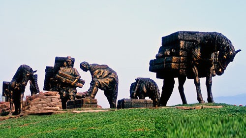 到打洛包括去免税店没,西双版纳旅游