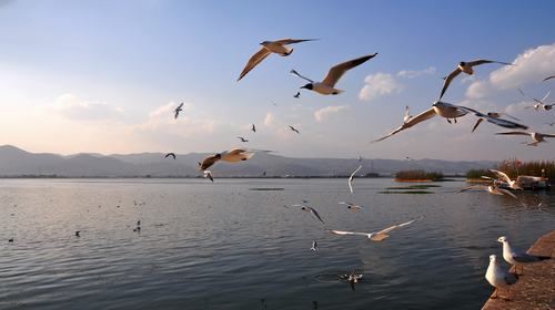 昆明+大理+丽江+香格里拉6日团队游(2钻)·亲