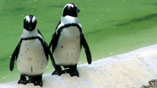 沈阳周末去哪玩,沈阳周末短途游线路,沈阳周边