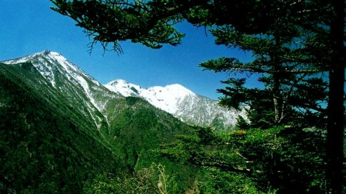 洛阳旅游线路攻略_广州到洛阳自助游_自由行