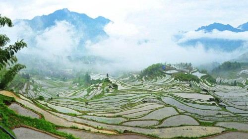 摄影之旅·浙江丽水4日跟团游(3钻)·绝美丽水