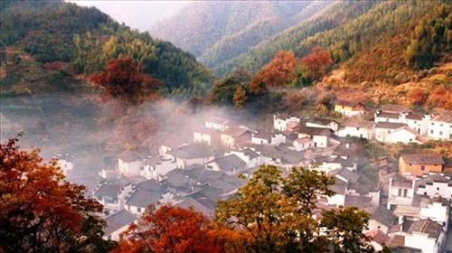 婺源旅游线路攻略_上海到婺源自助游_自由行