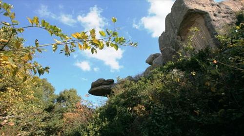 不好。吃住都不好,还,浙江朱家尖2日1晚跟团游