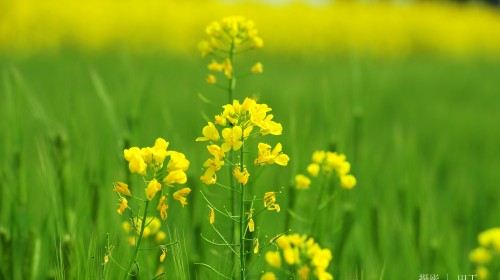 马俑+华清池4日跟团游·品三国文化 赏汉中美