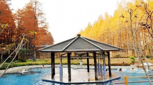 江苏淮安3日2晚跟团游·项王故里+窑湾古镇+