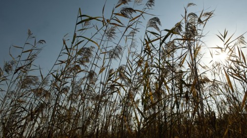 【携程攻略】上海到扬州旅游报价,上海到扬州