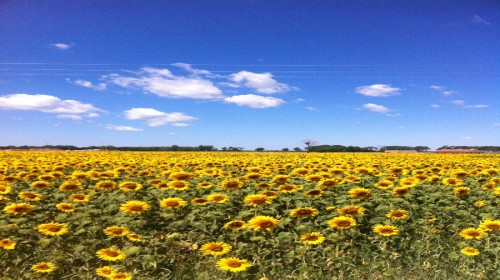 浙江绍兴2日1晚跟团游·四季温泉+长城影视城