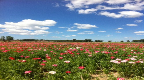 浙江绍兴2日1晚跟团游·四季温泉+长城影视城
