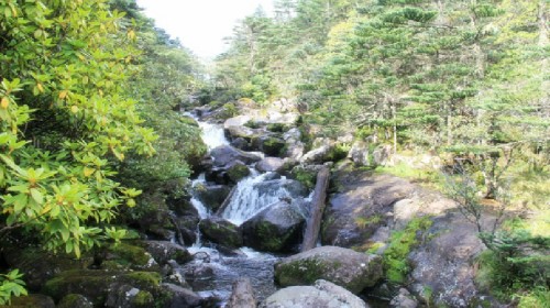 成都旅游线路攻略_重庆到成都自助游_自由行