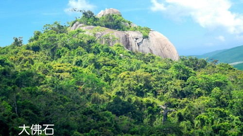 【携程攻略】郑州到三亚旅游报价,郑州到三亚