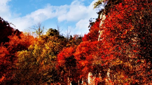 【携程攻略】上海到连云港旅游报价,上海到连