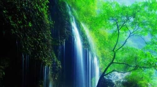 台州】洛阳+开封+郑州+云台山4日当地参团(2