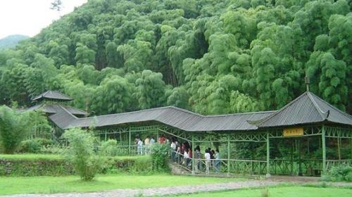 安吉中国大竹海景区门票 点评
