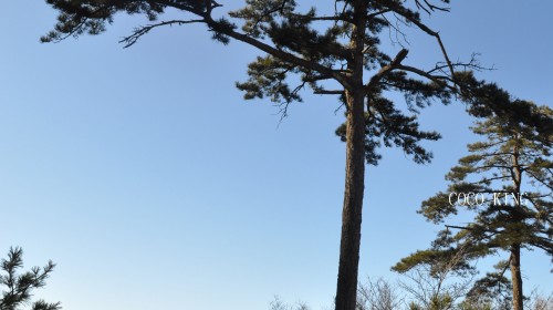 西安皇后国际大酒店位,西安旅游