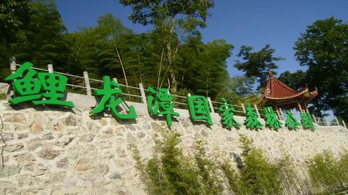 广西贵港桂平龙潭国家森林公园门票(景区现付