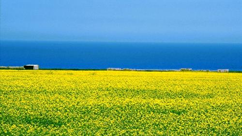 西宁旅游线路攻略_上海到西宁自助游_自由行