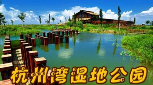 宁波2日1晚跟团游·杭州湾国家湿地公园 欢乐世界-【携程旅游】