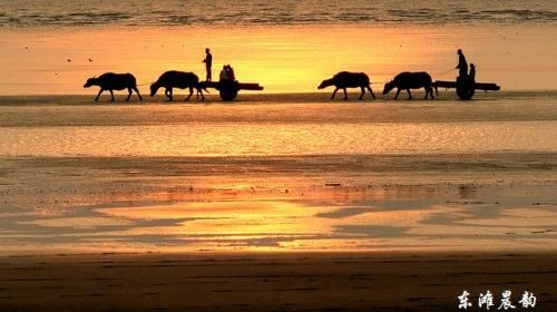 江苏南通2日1晚跟团游·恒大海上威尼斯 南通