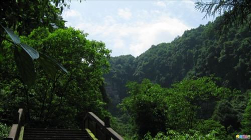 四川雅安2日1晚跟团游·熊猫基地、野生动物园、上里古镇纯玩游-【携程旅游】