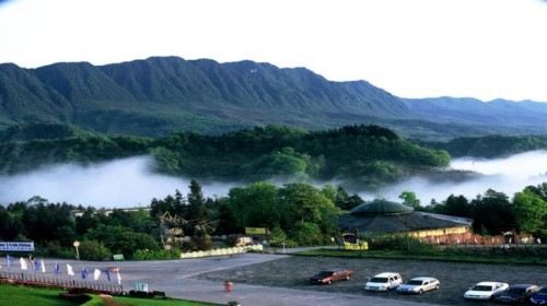 四川2日1晚跟团游· 碧峰峡风景区(含熊猫基地)、野生动物园-【携程旅游】