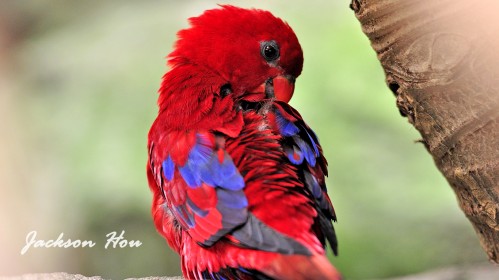 【携程攻略】上海到新西兰旅游报价,上海到新