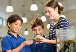 出国游学_海外游学_海外留学夏令营_国际游学