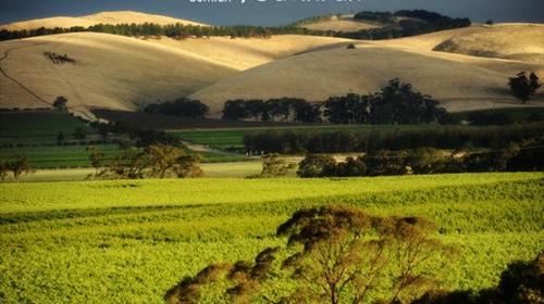 澳大利亚8日跟团游(4钻)·马格丽特河+罗特尼