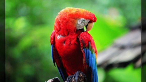 巴西+阿根廷15日跟团游(3钻)·墨西哥城 玛瑙