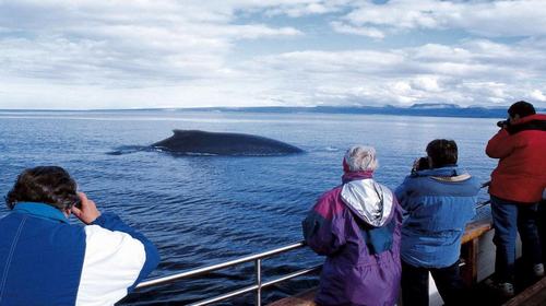 冰岛旅游线路攻略_冰岛自助游_团队游线路\/旅