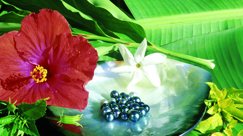 海到大溪地旅游报价,上海到大溪地旅游价格\/费