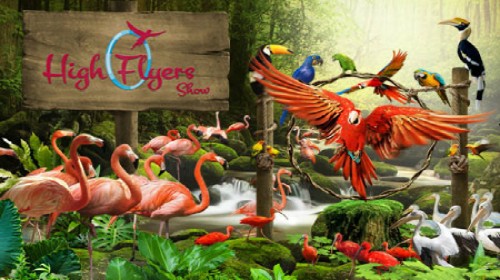 新加坡7日跟团游(4钻)·无自费\/环球影城+海洋