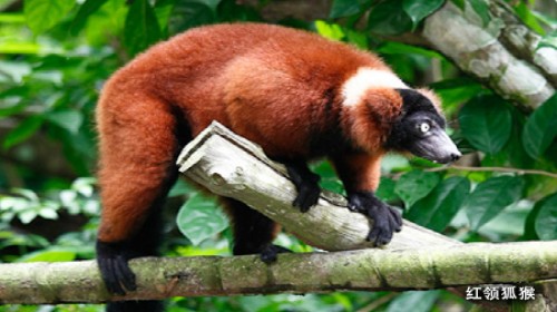 新加坡6日跟团游(4钻)·美食\/寒假\/春节\/亲子游