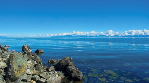 旅行社组织欠佳,领队,俄罗斯8日跟团游(3钻)·