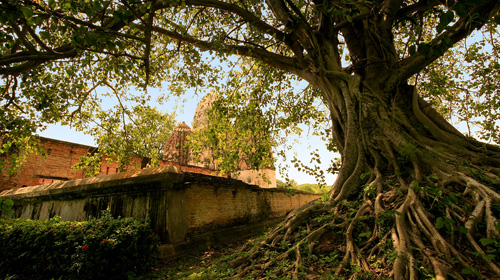 素质拓展·泰国清迈6日国际义工旅行--支教服