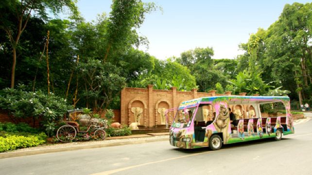 清迈夜间动物园