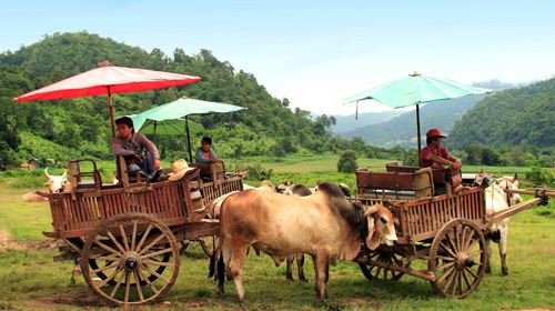 普吉岛+清迈8日7晚跟团游·海边泳池酒店国际