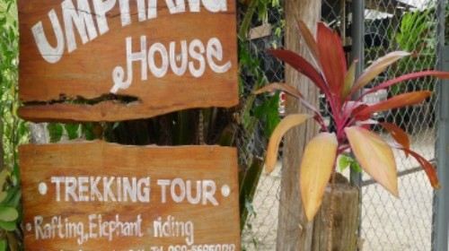 【国际志愿者项目】泰国孤儿院服务+大象保育